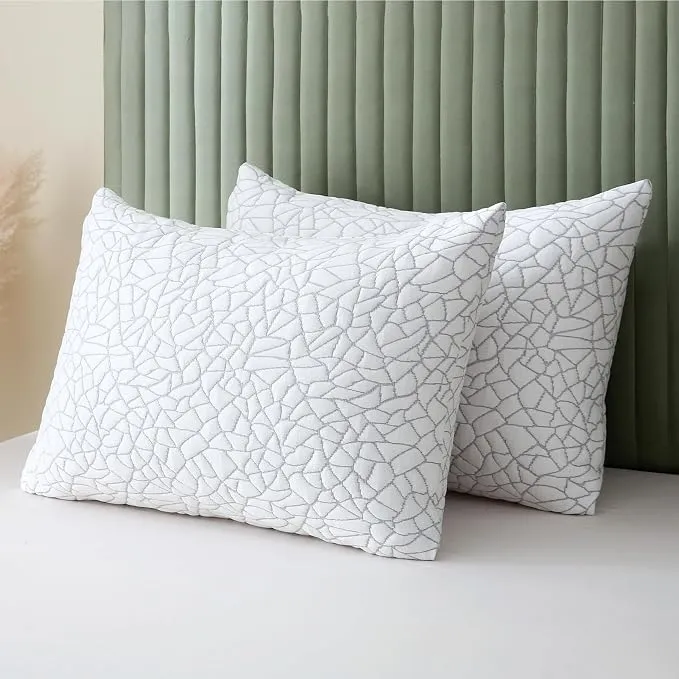 BPC Premium Rayon Derived from Bamboo Firm Pillows Queen Size Set of 2 - Hypoallergenic Shredded Memory Foam Pillows with Removable Cover Bed Pillows for Side Stomach and Back Sleepers, CertiPUR-US