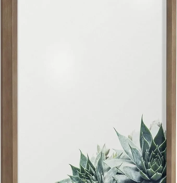 Kate and Laurel Blake Ever Green Succulent Framed Printed Glass Wall Art & Dry Erase by F2Images, 18x24 Gold, Chic Botanical Glass Art and Dry Erase Surface