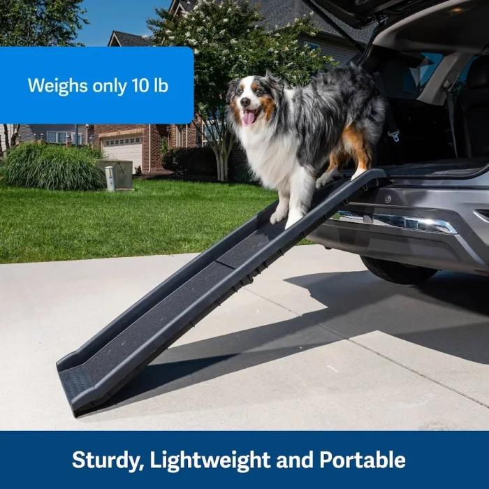 Folding dog ramp 5ft