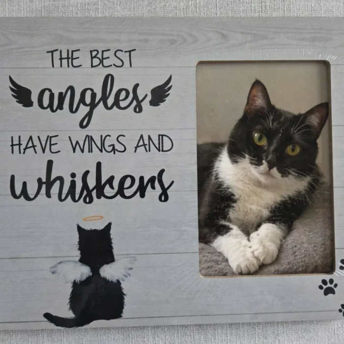 Luodnnla Cat Memorial Wooden Picture Frame Gifts for Loss of Cat, Angels Have Wings And Whiskers, Pet MemorialSympathy Gifts, Fits 4x6 Photo Frame